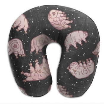 Cojín para la cabeza del tardigrado