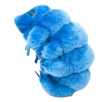 peluche tardígrado